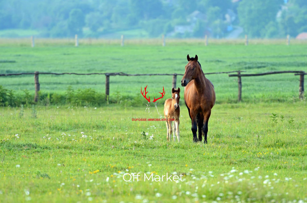 � vendre  Maison Bourg-en-Bresse (01000)