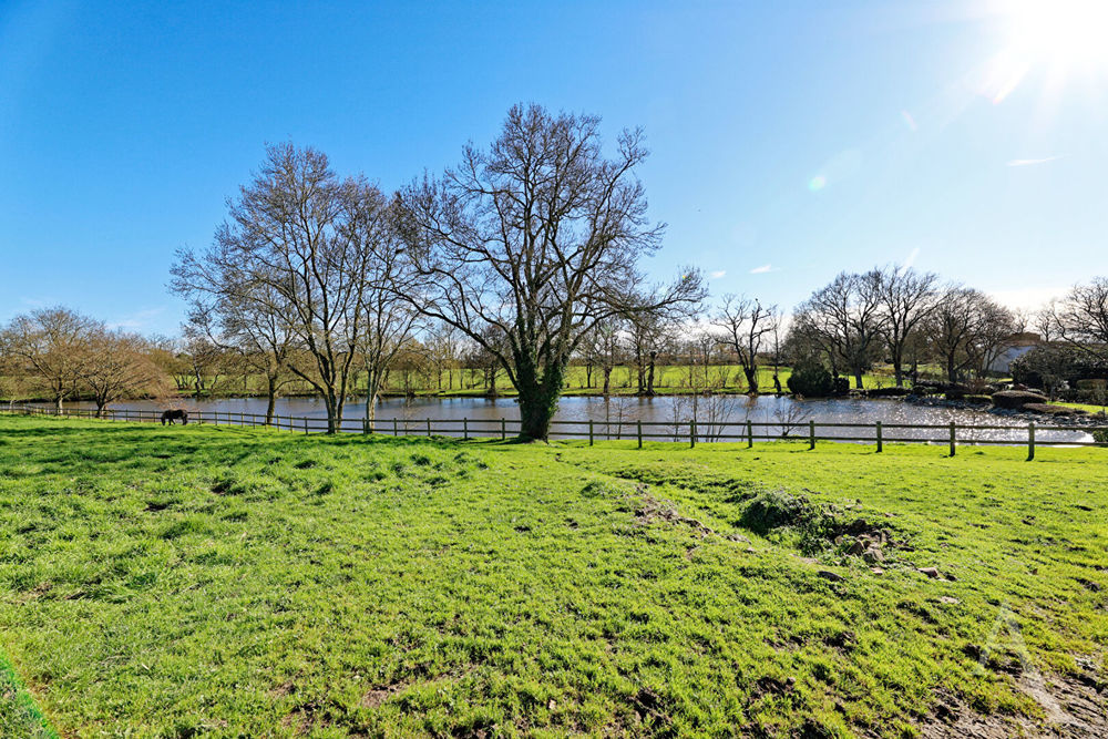 � vendre  Maison Montaigu (85600)