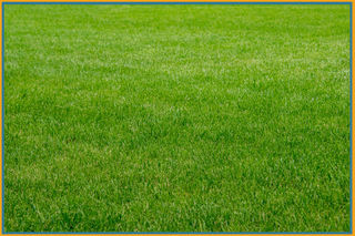  Terrain � vendre 3172 m�