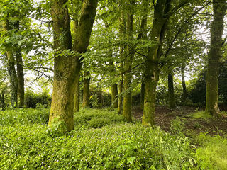  Terrain � vendre 3643 m�