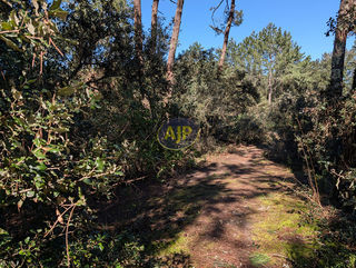  Terrain � vendre 546 m�