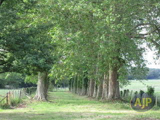  Villa � vendre 15 + pi�ces 465 m�