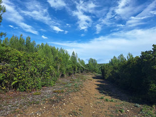  Terrain � vendre 11388 m�