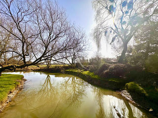  Maison � vendre 7 pi�ces 300 m�