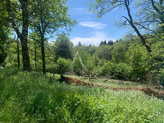  Terrain � vendre 2050 m�