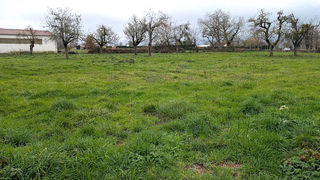  Terrain � vendre 4560 m�