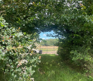  Maison � vendre 145935 m�