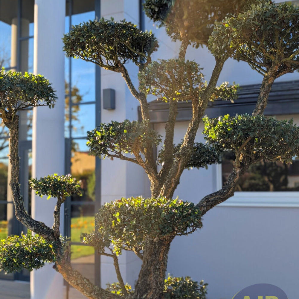 � vendre  Maison Leg� (44650)