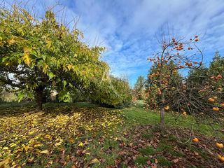  Terrain � vendre 3500 m�