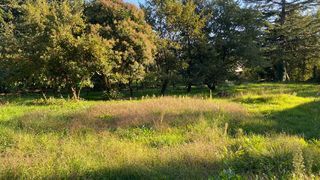  Terrain � vendre 1000 m�