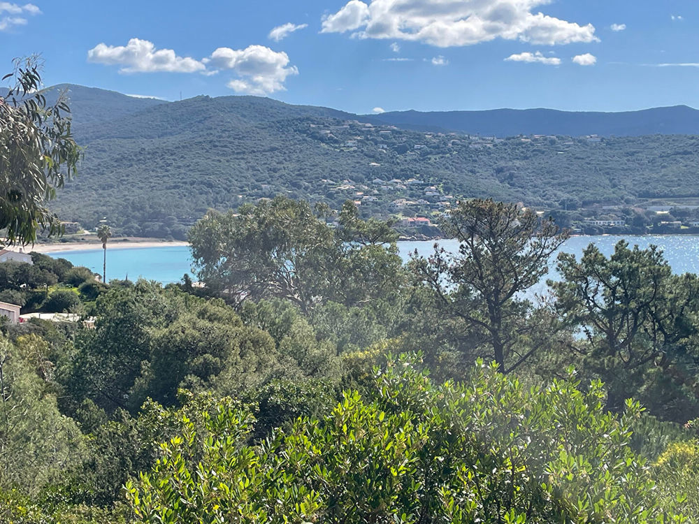 � vendre  Villa Pietrosella (20166)