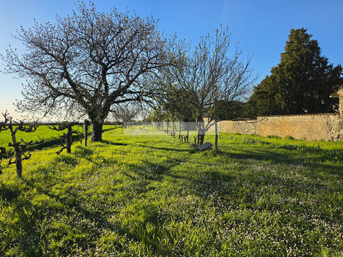  Maison � vendre 15 + pi�ces 294 m�