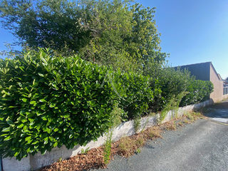  Terrain � vendre 439 m�