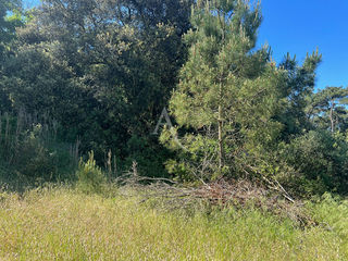  Terrain � vendre 375 m�