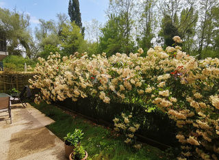  Appartement � vendre 5 pi�ces 98 m�