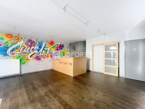 Local Commercial Langres 41.5 m2 750 52200 Langres