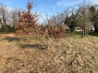  Terrain � vendre 1690 m�