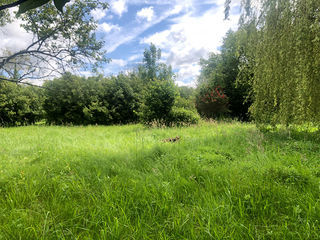  Terrain � vendre 1274 m�