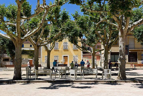 La Crau Immeuble professionnel en pleine propri&eacute;t&eacute; 227m&sup2; 450000 83260 La crau