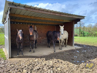  Maison � vendre 5 pi�ces 139 m�