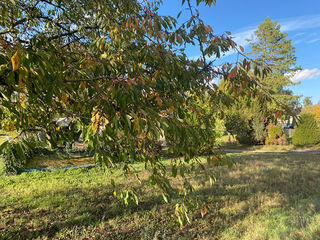  Terrain � vendre 476 m�