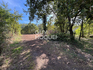  Terrain � vendre 980 m�