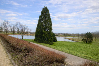  Appartement � vendre 5 pi�ces 103 m�