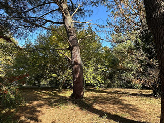  Terrain � vendre 737 m�