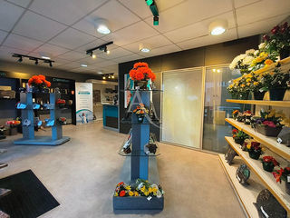  Immeuble � vendre 201 m�