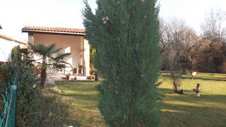  Maison � vendre 7 pi�ces 145 m�