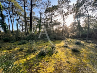  Terrain � vendre 4808 m�