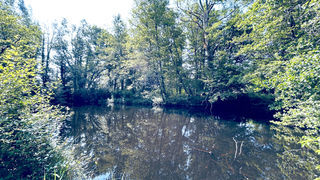  Maison � vendre 6 pi�ces 138 m�