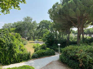  Appartement � louer 1 pi�ce 24 m�