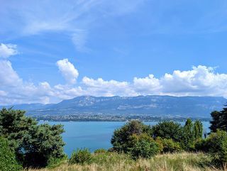  Terrain � vendre 6 pi�ces 268 m�