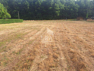  Terrain � vendre 2494 m�