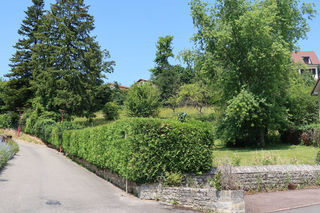  Terrain � vendre 1963 m�