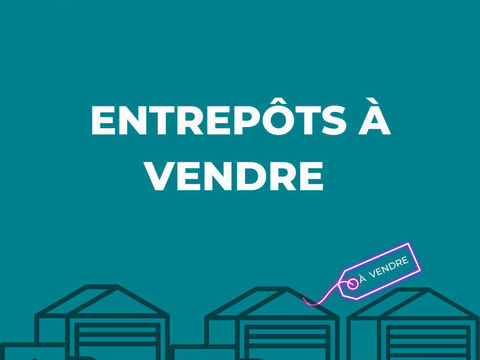 LE RAINCY, entrep&ocirc;t et maison, usage mixte, 850000 93340 Le raincy