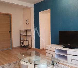  Appartement � louer 3 pi�ces 52 m�