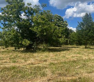  Terrain � vendre 1678 m�