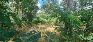  Terrain � vendre 3463 m�