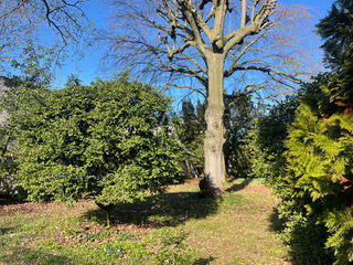  Terrain � vendre 650 m�