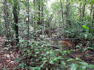  Terrain � vendre 16600 m�