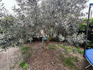  Maison � vendre 5 pi�ces 86 m�