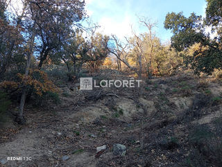  Terrain � vendre 18305 m�