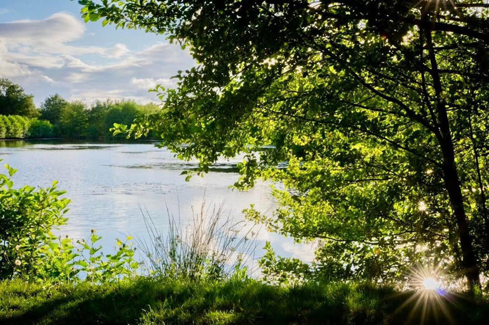 � vendre  Maison La Rochelle (17000)