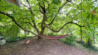  Maison � vendre 10 pi�ces 210 m�