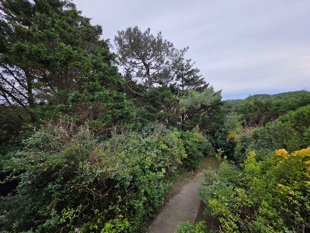 � vendre  Maison Anglet (64600)