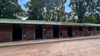  Maison � vendre 12 pi�ces 295 m�