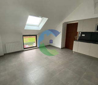  Appartement � louer 3 pi�ces 36 m�