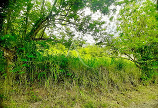  Terrain � vendre 922 m�